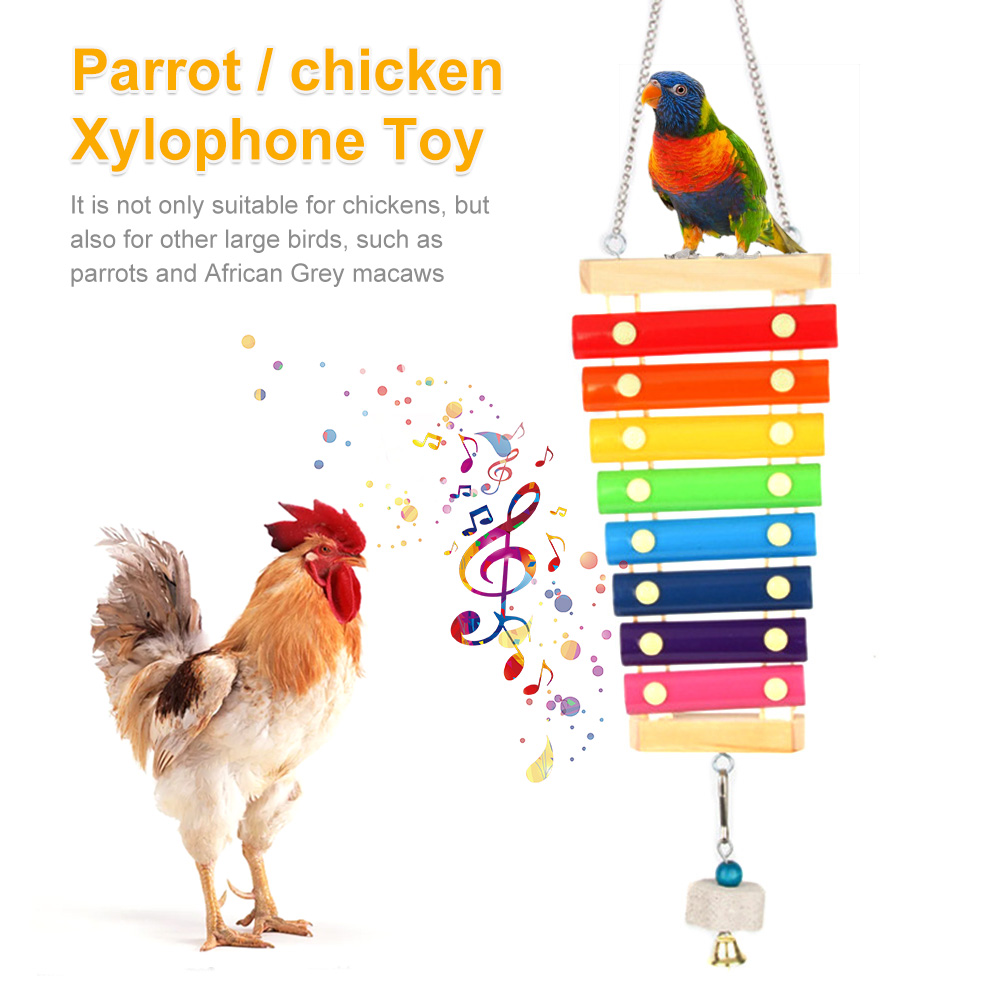 Bird Chicken Xylophone Toy Woo - огляд і ціна Musical Instrument Harmonium